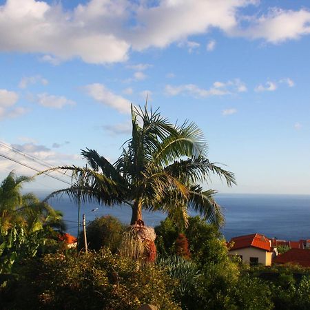 Lugar Dos Louros 2 Apartment Estreito Da Calheta Exterior photo