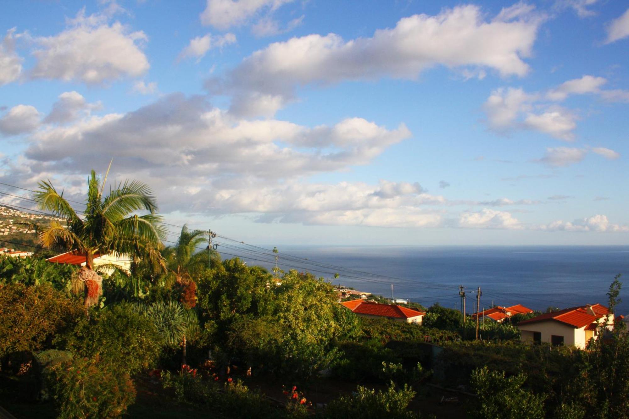 Lugar Dos Louros 2 Apartment Estreito Da Calheta Exterior photo